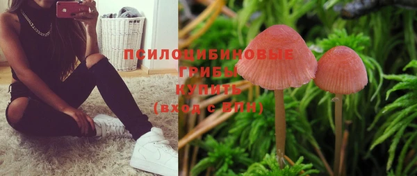 а пвп мука Абаза