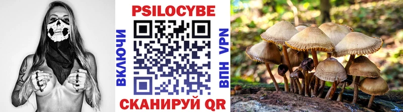 магазин продажи   Энгельс  Псилоцибиновые грибы GOLDEN TEACHER 